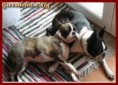 /album/fotogalerie-reggii/reg-a-gwen-oba-odpocivaji-jpg2/